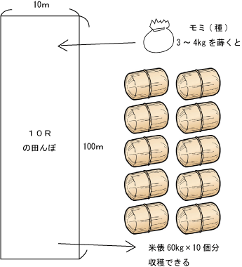 tanbo.gif